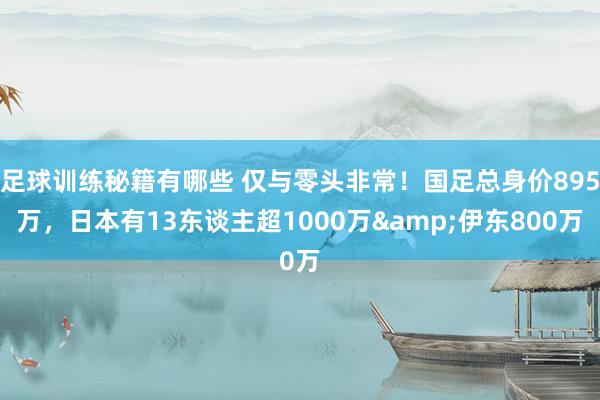 足球训练秘籍有哪些 仅与零头非常！国足总身价895万，日本有13东谈主超1000万&伊东800万