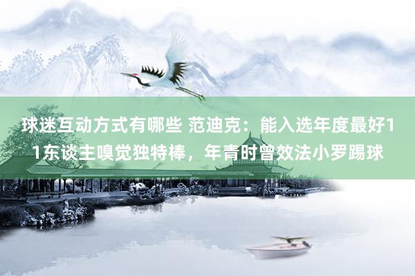 球迷互动方式有哪些 范迪克：能入选年度最好11东谈主嗅觉独特棒，年青时曾效法小罗踢球