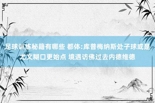 足球训练秘籍有哪些 都体:库普梅纳斯处子球或是尤文糊口更始点 境遇访佛过去内德维德