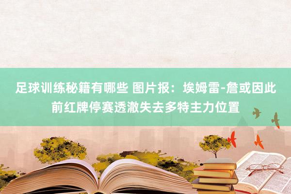 足球训练秘籍有哪些 图片报：埃姆雷-詹或因此前红牌停赛透澈失去多特主力位置