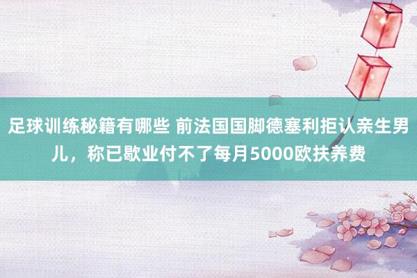 足球训练秘籍有哪些 前法国国脚德塞利拒认亲生男儿，称已歇业付不了每月5000欧扶养费