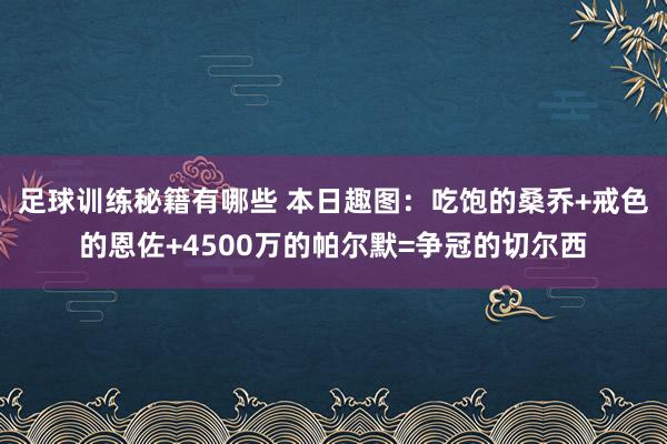 足球训练秘籍有哪些 本日趣图：吃饱的桑乔+戒色的恩佐+4500万的帕尔默=争冠的切尔西