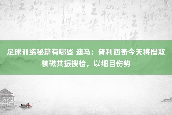 足球训练秘籍有哪些 迪马：普利西奇今天将摄取核磁共振搜检，以细目伤势