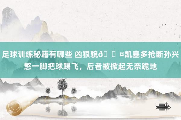 足球训练秘籍有哪些 凶狠貌😤凯塞多抢断孙兴慜一脚把球踢飞，后者被掀起无奈跪地