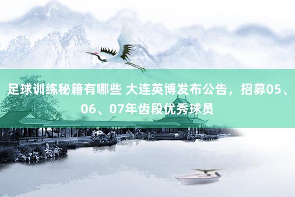 足球训练秘籍有哪些 大连英博发布公告，招募05、06、07年齿段优秀球员