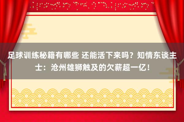 足球训练秘籍有哪些 还能活下来吗？知情东谈主士：沧州雄狮触及的欠薪超一亿！