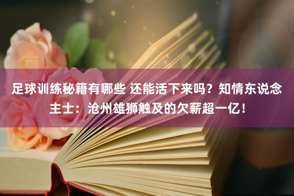 足球训练秘籍有哪些 还能活下来吗？知情东说念主士：沧州雄狮触及的欠薪超一亿！