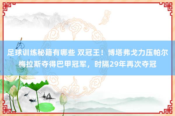 足球训练秘籍有哪些 双冠王！博塔弗戈力压帕尔梅拉斯夺得巴甲冠军，时隔29年再次夺冠