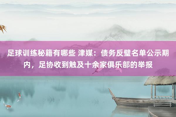 足球训练秘籍有哪些 津媒：债务反璧名单公示期内，足协收到触及十余家俱乐部的举报