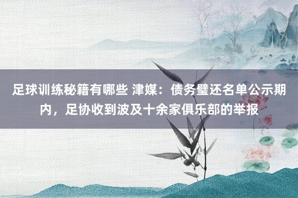 足球训练秘籍有哪些 津媒：债务璧还名单公示期内，足协收到波及十余家俱乐部的举报