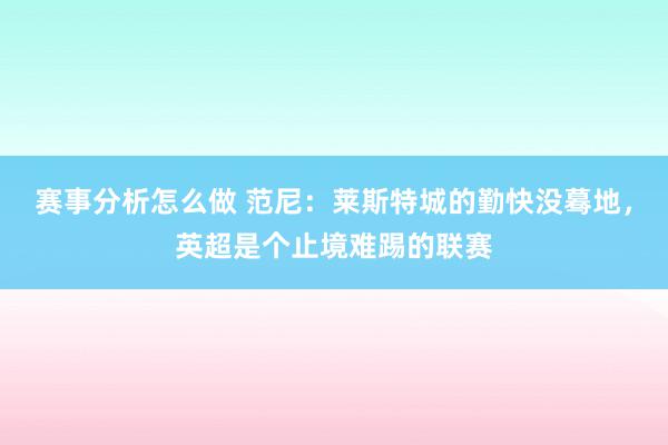 赛事分析怎么做 范尼：莱斯特城的勤快没蓦地，英超是个止境难踢的联赛