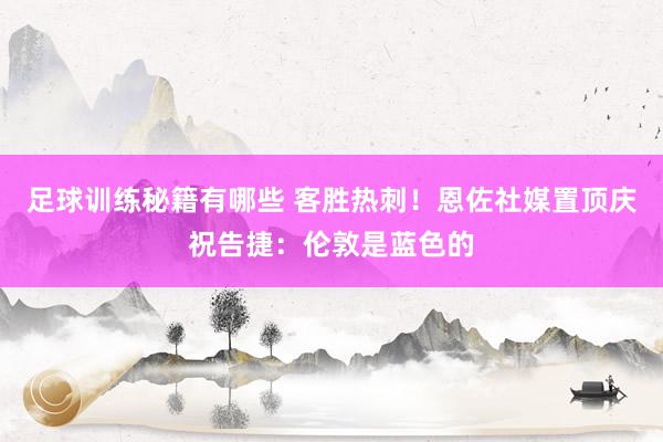 足球训练秘籍有哪些 客胜热刺！恩佐社媒置顶庆祝告捷：伦敦是蓝色的